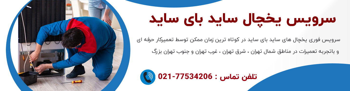 سرویس یخچال ساید بای ساید
